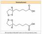 Preview: ProNatu R(+) -Alpha Lipoic Acid capsules - 120 pieces to 600 mg