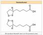 Preview: ProNatu R(+) -Alpha Lipoic Acid capsules - 120 pieces to 600 mg