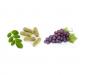 Preview: ProNatu OPC 95 / Moringa Oleifera Vegi-Capsules