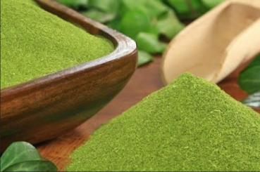 ProNatu 100% Moringa Oleifera Leaf Powder (Best Quality)