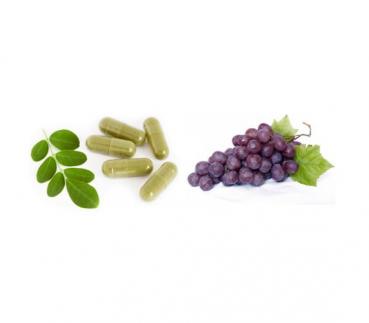 ProNatu OPC 95 / Moringa Oleifera Vegi-Capsules