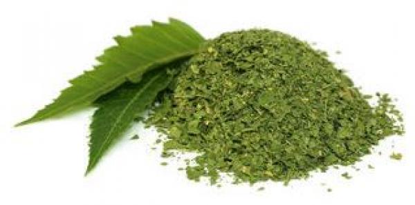 ProNatu Neem leaves cutting - 100 g (best organic quality)